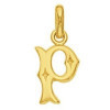 Pendentif lettre P