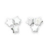 Clous d'oreilles étoiles en argent.