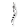 Pendentif corne porte bonheur en argent.