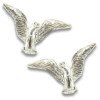 Clous d'oreilles aigles en argent