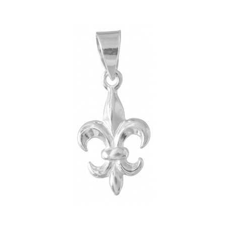 Fleur de Lys en argent