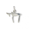 Pendentif rhaï en argent