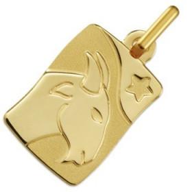 Médaille zodiaque Capricorne en or