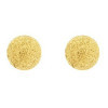 Clous d'oreilles en or